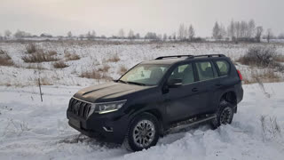 Лиса Рулит - Тойота Прадо 150. Сравнение поколений. Toyota Land Cruiser Prado. Лиса рулит