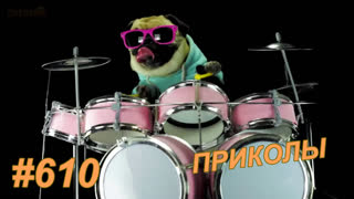 Приколы ноябрь 2019 №610