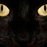 Ahmed Mohamed фото со страницы ВКонтакте